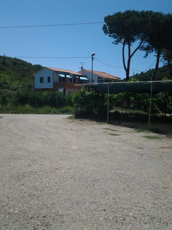 Hotel Rustichello Marina di Campo Dış mekan fotoğraf