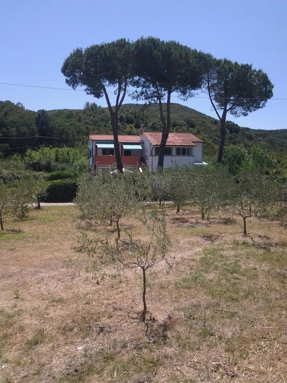 Hotel Rustichello Marina di Campo Dış mekan fotoğraf